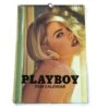 The Playboy Calendar Of 2024 Playmates